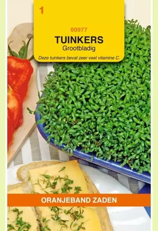 Tuinkers Grootbladig Oranjeband - afbeelding 1