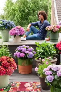 Tuinplanten