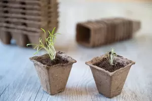 Turfpot H6x6x6cm set à 16 stuks - afbeelding 2