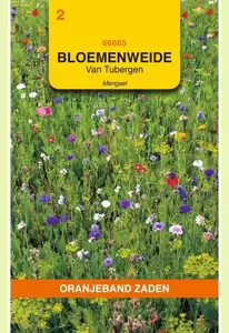 Van Tubergen bloemenweide mengsel Oranjeband - afbeelding 1