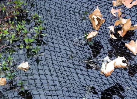 Velda Cover Net 6x10 meter - afbeelding 1