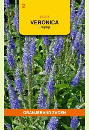 Veronica, Ereprijs, blauw Oranjeband - afbeelding 1