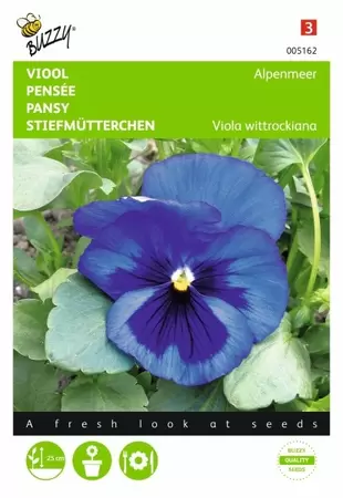 Viola, Viool Zwitserse Reuzen gemengd Buzzy Seeds - afbeelding 1