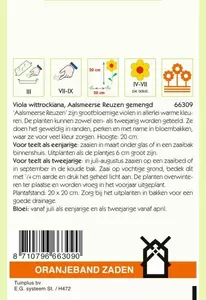 Viola, Viool Aalsmeerse Reuzen gemengd Oranjeband - afbeelding 2