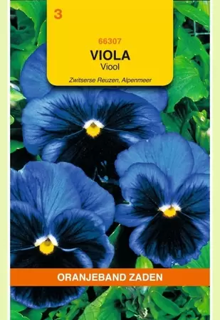 Viola, Viool Alpenmeer Oranjeband - afbeelding 1