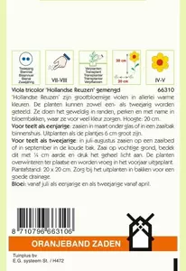 Viola, Viool Hollandse Reuzen gemengd Oranjeband - afbeelding 2