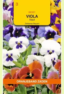 Viola, Viool Zwitserse Reuzen gemengd Oranjeband - afbeelding 1
