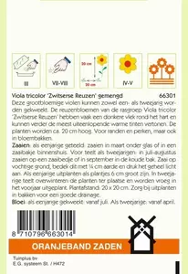 Viola, Viool Zwitserse Reuzen gemengd Oranjeband - afbeelding 2