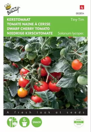 Tomaat Roma VF Buzzy Seeds - afbeelding 1