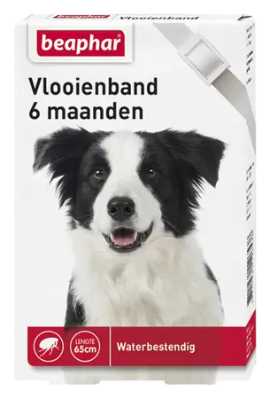 Vlooienband hond wit 1st