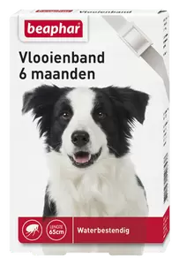 Vlooienband hond wit 1st