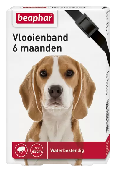 Lenen Badkamer Verwacht het Vlooienband hond zwart 1st - Tuincentrum Kolbach