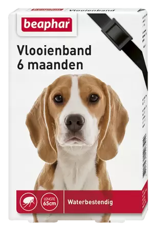 Vlooienband hond zwart 1st