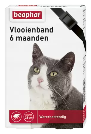 Vlooienband kat zwart 1st