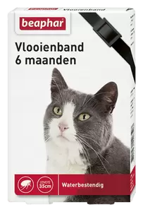 Vlooienband kat zwart 1st