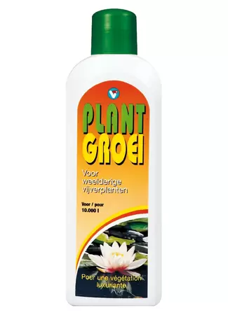 Plant Groei