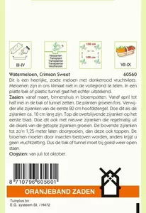 Watermeloenen Crimson Sweet Oranjeband - afbeelding 2