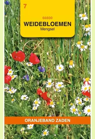 Weidebloemen mengsel - 5 m² Oranjeband - afbeelding 1