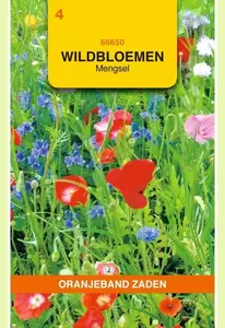 Wildbloemen mengsel eenjarig - 10 m² Oranjeband - afbeelding 1