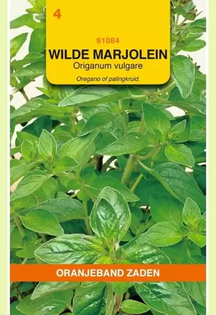 Wilde Marjolein Oranjeband - afbeelding 1