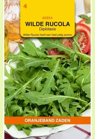 Wilde Rucola - Diplotaxis Oranjeband - afbeelding 1