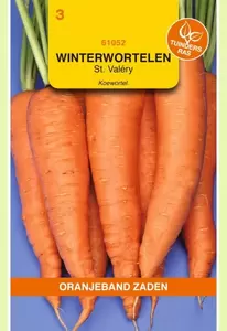Winterwortel Saint-Valery Oranjeband - afbeelding 1
