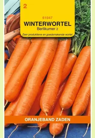 Winterwortelen Berlikumer 2 Oranjeband - afbeelding 1