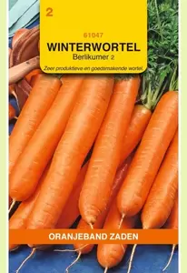 Winterwortelen Berlikumer 2 Oranjeband - afbeelding 1