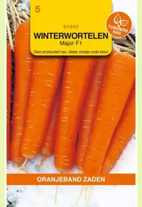 Winterwortelen Elegance F1 (vh Major) Oranjeband - afbeelding 1