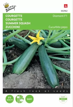 Courgette Black Beauty - Verte De Milan Buzzy Seeds - afbeelding 1