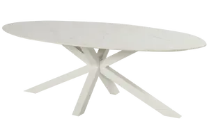 Xander oval alu ceramic table 220x120cmWith 12mm ceramic table top