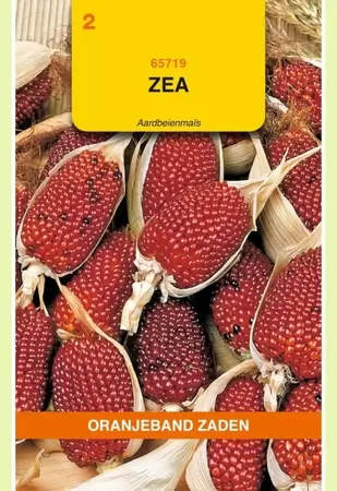 Zea, Aardbeienmais Oranjeband - afbeelding 1