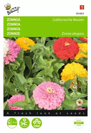 Zinnia Dahliabloemig gemengd Buzzy Seeds - afbeelding 1