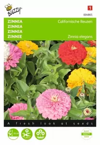Zinnia Dahliabloemig gemengd Buzzy Seeds - afbeelding 1