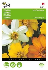 Zinnia Lilliput gemengd Buzzy Seeds - afbeelding 1