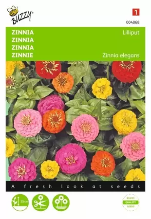 Zinnia Californische Reuzen gemengd Buzzy Seeds - afbeelding 1