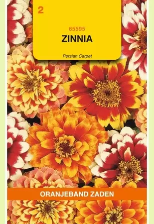 Zinnia Persian Carpet gemengd Oranjeband - afbeelding 1