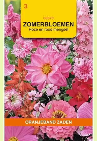 Zomerbloemen mengsel, roze/rood Oranjeband - afbeelding 1