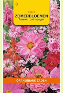 Zomerbloemen mengsel, roze/rood Oranjeband - afbeelding 1