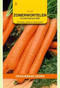 Zomerwortelen Amsterdamse Bak 2 Oranjeband - afbeelding 1
